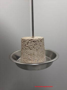 Großer Edelstahl Fruchtspieß mit Teller für Obst und Mineralsteine