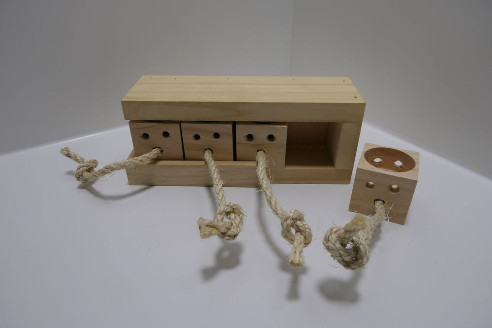 Intelligenzspielzeug Brain für Kaninchen und Nager – mentales Training.