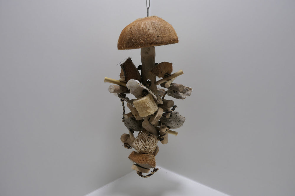 Kokos-Vogelspielzeug mit Edelstahlkette für mittelgroße und große Vögel.