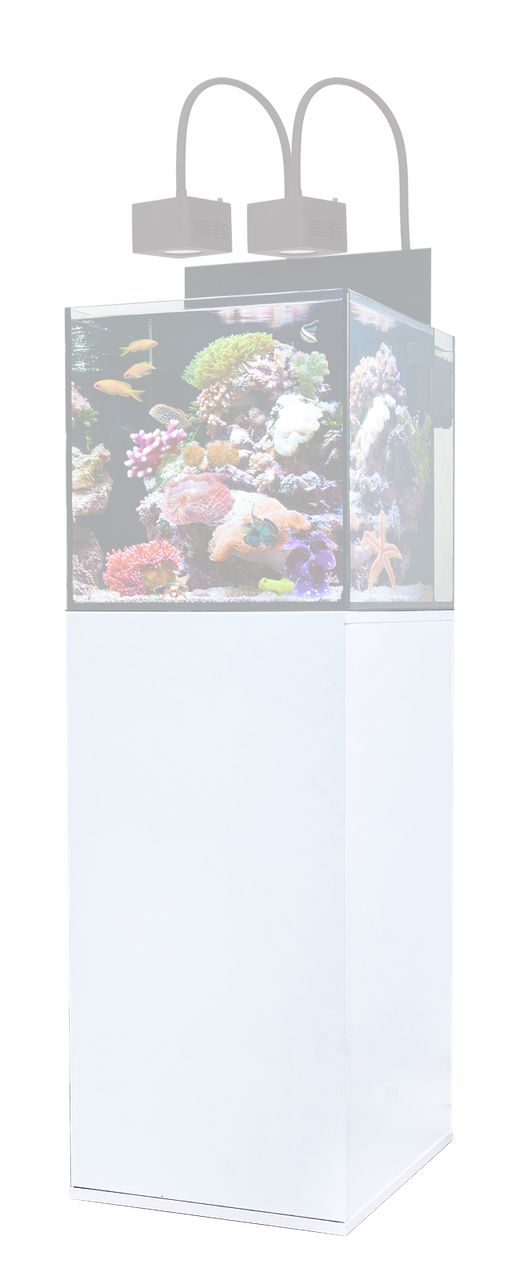 Cubicus CF Qube Kostenloser-Versand
