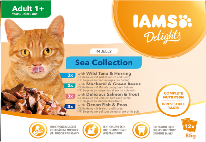 IAMS Nassfutter für ausgewachsene Katzen mit unterschiedlichen Fischaromen – Meereskollektion in Gelee (Adult 1+)