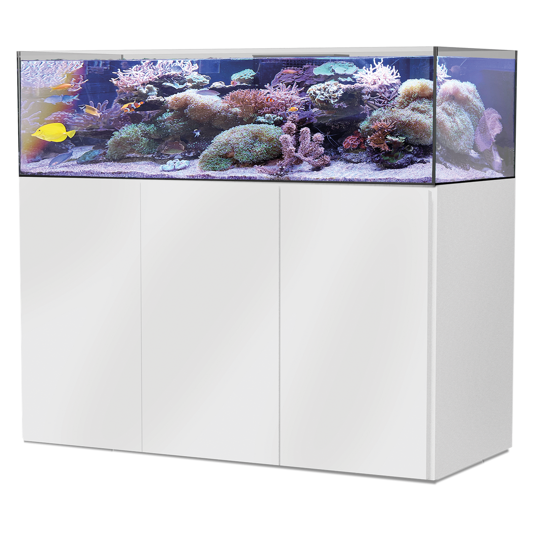 Armatus Lagoon 400 white Kostenloser-Versand