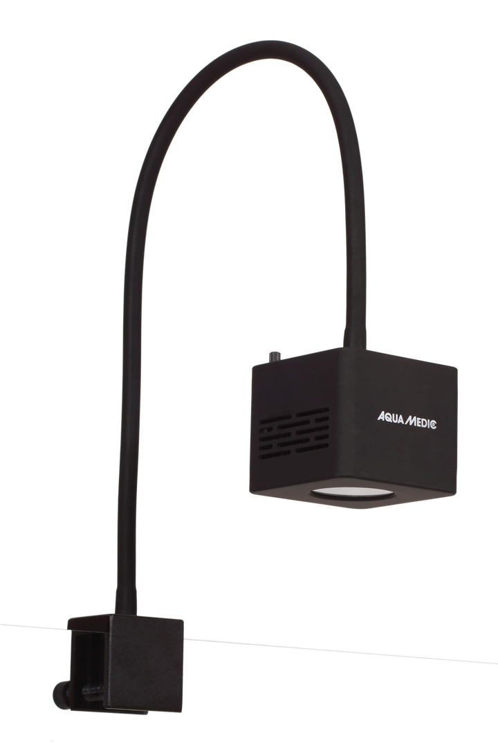 Cubicus CF Qube Kostenloser-Versand