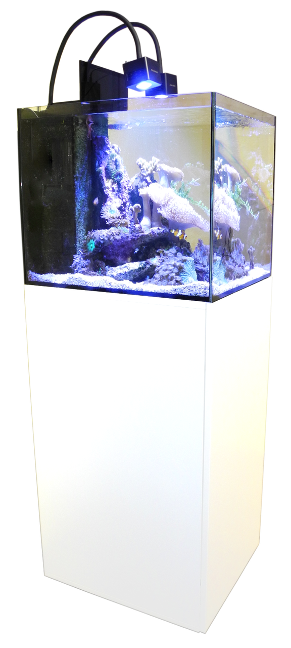 Cubicus CF Qube Kostenloser-Versand
