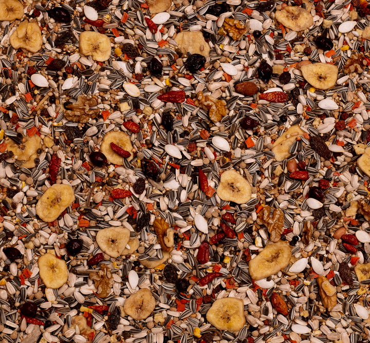 Birdelicious Papageien Down Under von Deli Nature