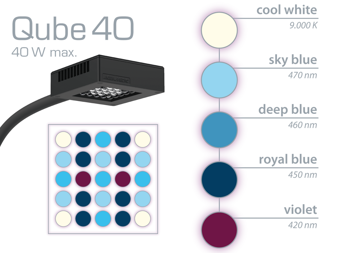 Qube 40