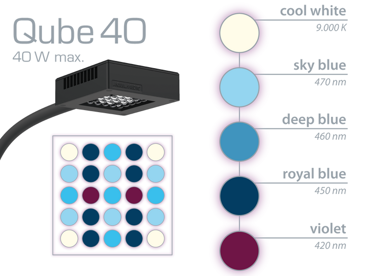 Qube 40