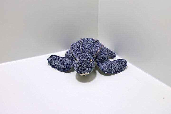 Spielzeug  Schildkröte Blau