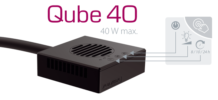 Qube 40