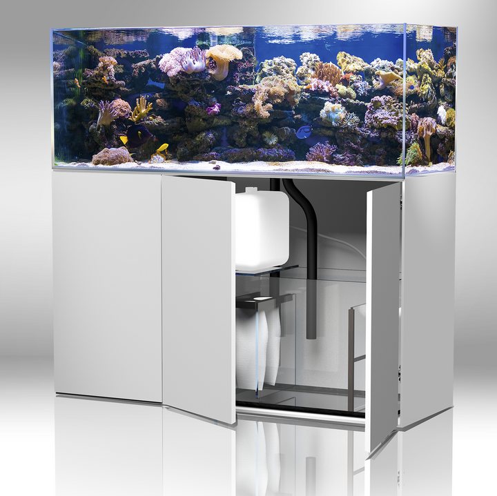 Armatus 250 white Kostenloser-Versand
