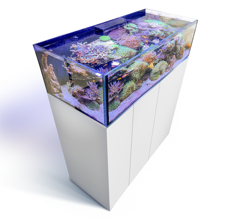 Armatus Lagoon 400 white Kostenloser-Versand